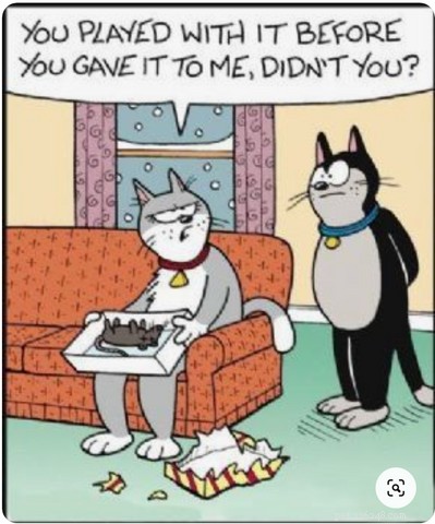 Top Holiday Cat Memes & Cartoons: Hilarious Christmas Feline Fun
