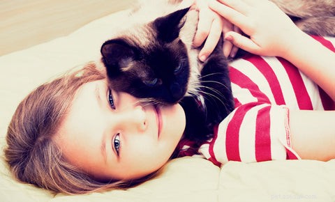 Why Does My Cat Head-Butt Me? Understanding the Meaning Behind the Gesture
