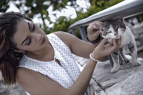 The Expert Guide to Petting Your Cat: Tips for a Calm and Happy Companion