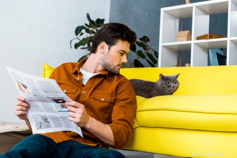 How to Spot the Signs Your Cat Is Sick: A Guide for Pet Owners