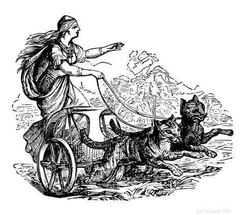 Discover the Norwegian Forest Cat: History, Traits, and Mysteries