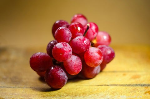 Cat Safety Alert: Foods That Are Toxic to Your Feline Friend