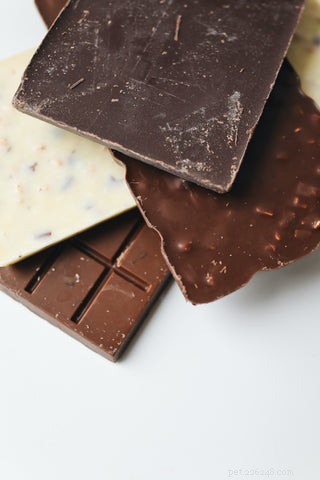 Cat Safety Alert: Foods That Are Toxic to Your Feline Friend