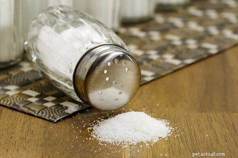 Cat Safety Alert: Foods That Are Toxic to Your Feline Friend