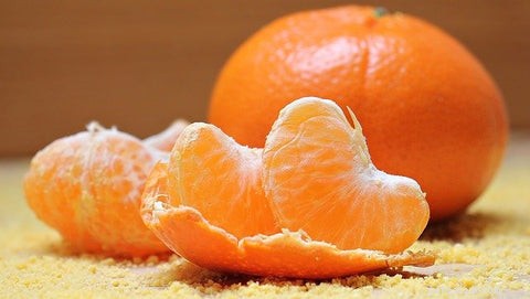 Cat Safety Alert: Foods That Are Toxic to Your Feline Friend