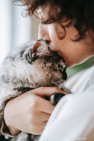 Why Is My Cat Constantly Vomiting? Causes and Solutions