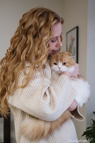 Why Is My Cat Constantly Vomiting? Causes and Solutions