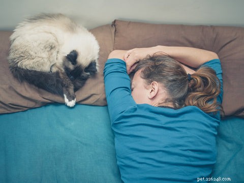 Why Do Cats Choose to Sleep With Their Owners? Insights & Tips