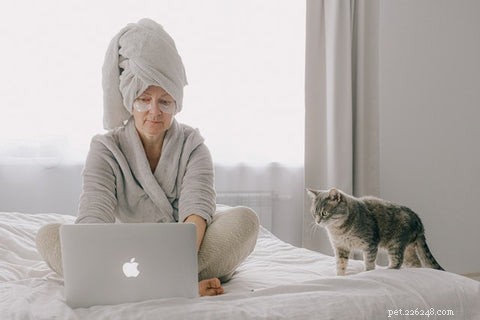 Why Do Cats Choose to Sleep With Their Owners? Insights & Tips
