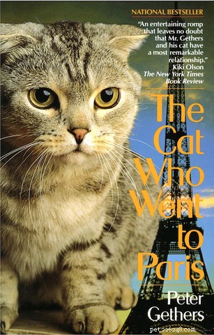 Scottish Fold Cats: History, Appeal, and Ethical Concerns