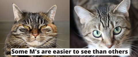 All Cats Are Tabby: Uncovering the Hidden Genetics