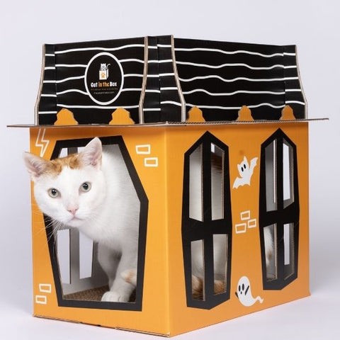 7 Must‑Have Halloween Gifts Every Cat Owner Should Consider