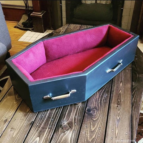 7 Must‑Have Halloween Gifts Every Cat Owner Should Consider