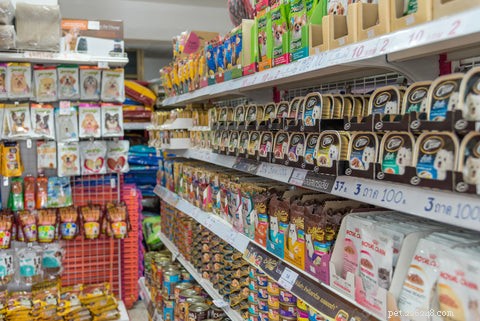 Choosing the Perfect Food and Water Bowls for Your Cat: A Practical Guide