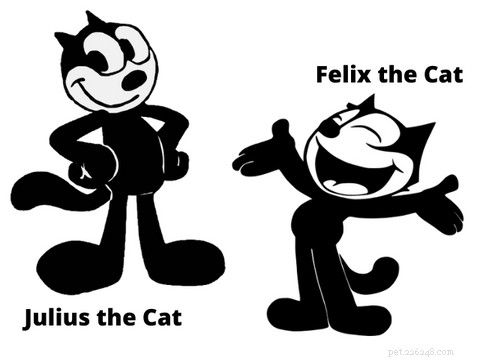 Tuxedo Cats: Style, Science, and Common Myths Debunked