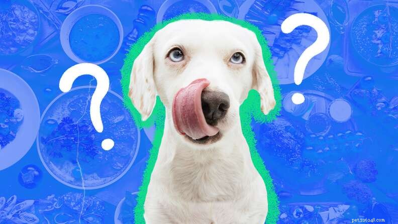 60+ Dog-Friendly Foods You Can Share