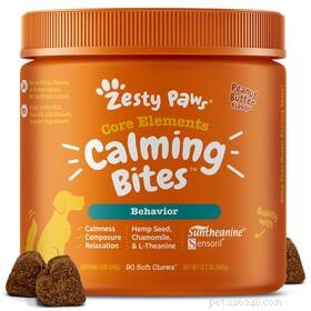 95% of Pet Owners Find Stress Relief in Their Pets – Survey Results
