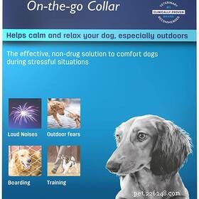 95% of Pet Owners Find Stress Relief in Their Pets – Survey Results