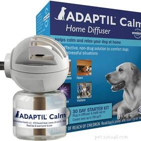 95% of Pet Owners Find Stress Relief in Their Pets – Survey Results