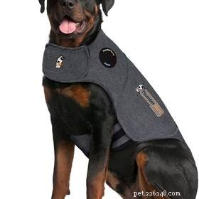 95% of Pet Owners Find Stress Relief in Their Pets – Survey Results