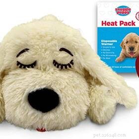 95% of Pet Owners Find Stress Relief in Their Pets – Survey Results