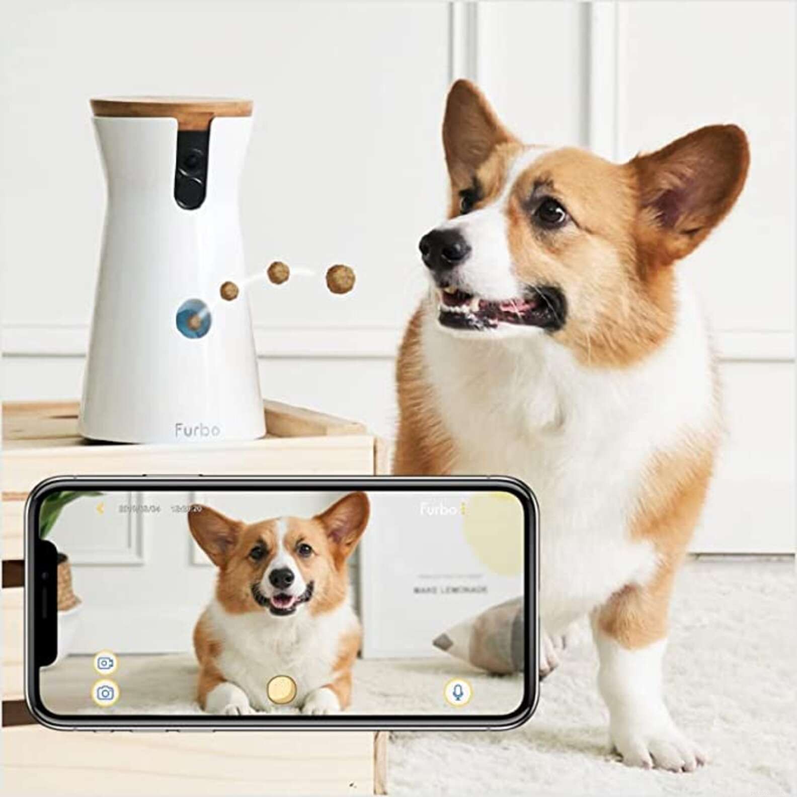 Top Pet Deals of Amazon Prime Day 2022: Save Big on Essentials