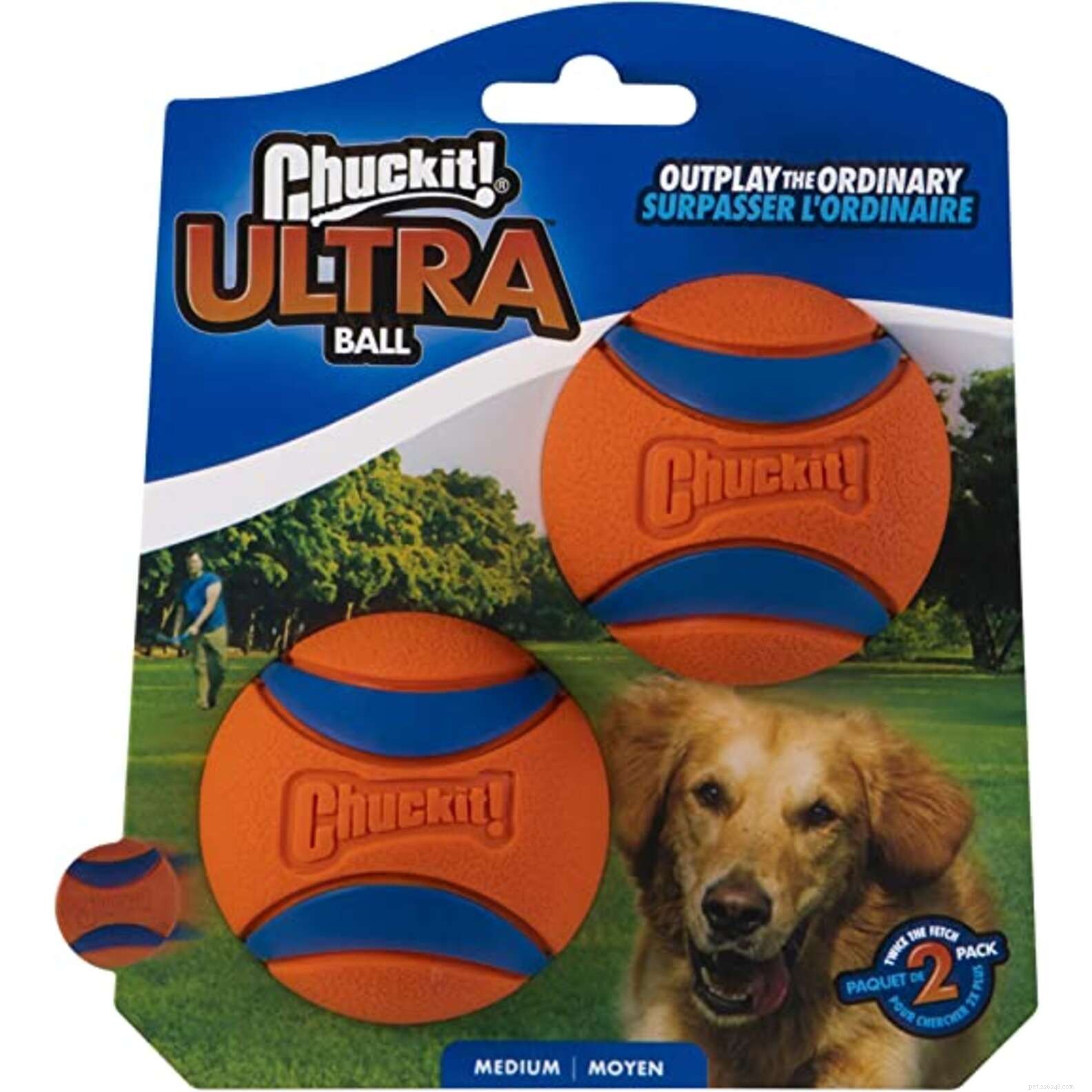 Top Pet Deals of Amazon Prime Day 2022: Save Big on Essentials