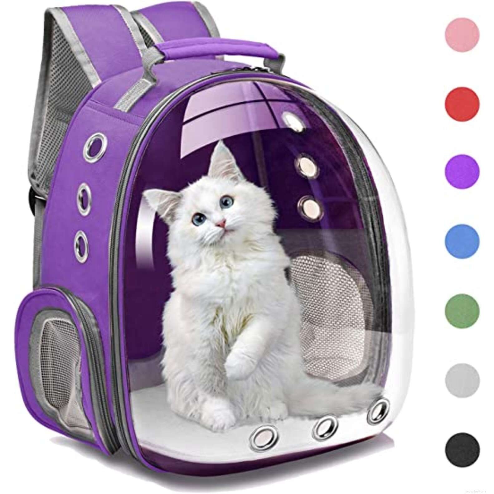 Top Amazon Prime Day Deals for Cats – Save on Food, Toys & Furniture