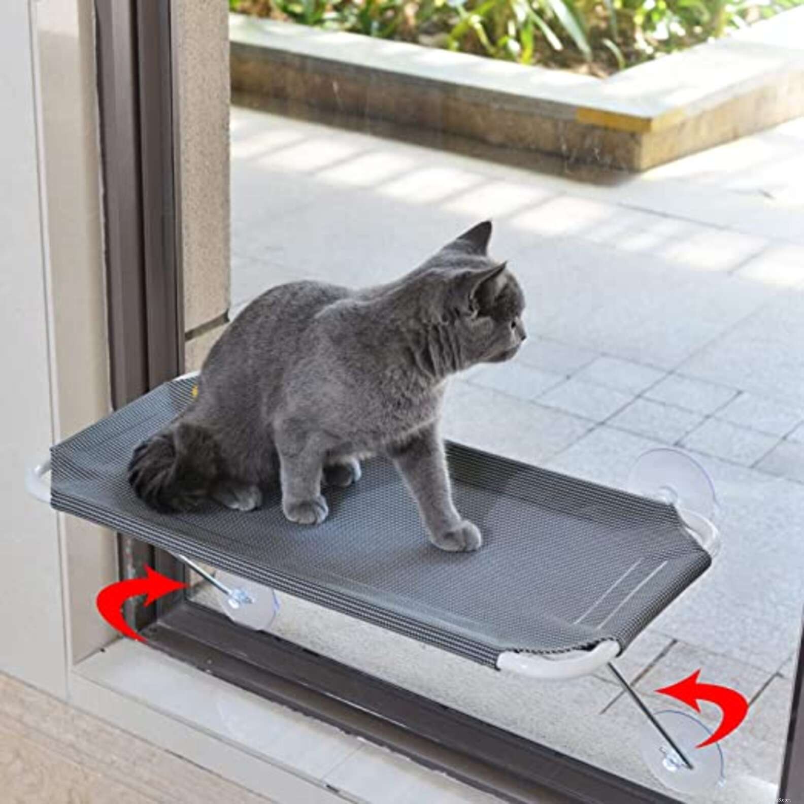 Top Amazon Prime Day Deals for Cats – Save on Food, Toys & Furniture