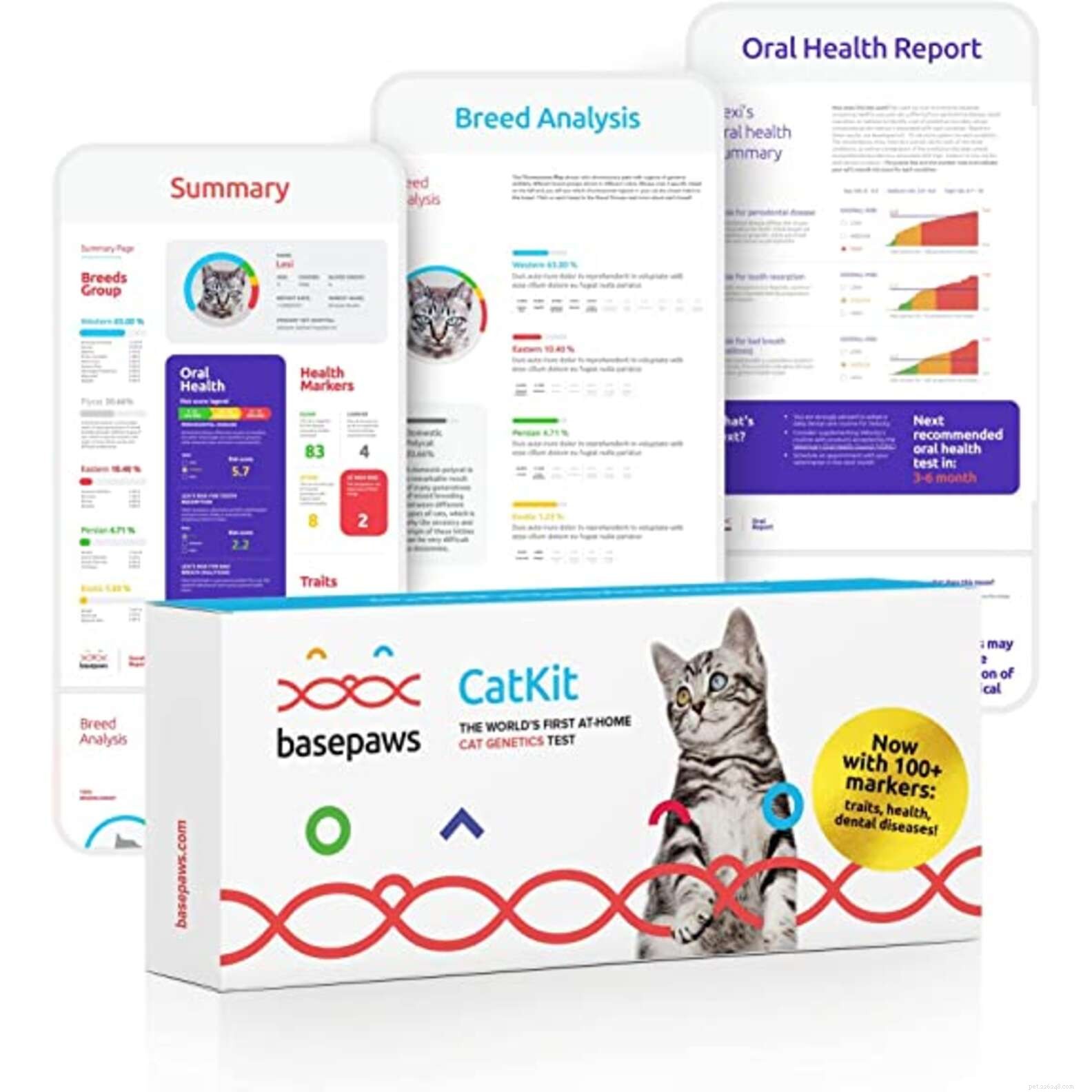 Top Amazon Prime Day Deals for Cats – Save on Food, Toys & Furniture