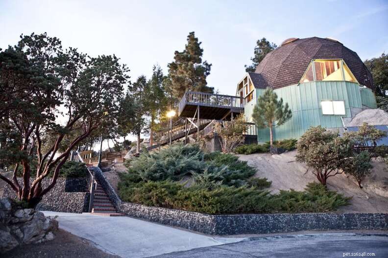 Luxury Geodome with Stunning Views – Ideal Pet-Friendly Getaway in Idyllwild, CA
