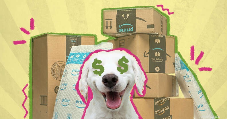 Top Prime Day Deals for Dogs – Unbeatable Discounts on Toys, Treats & Beds