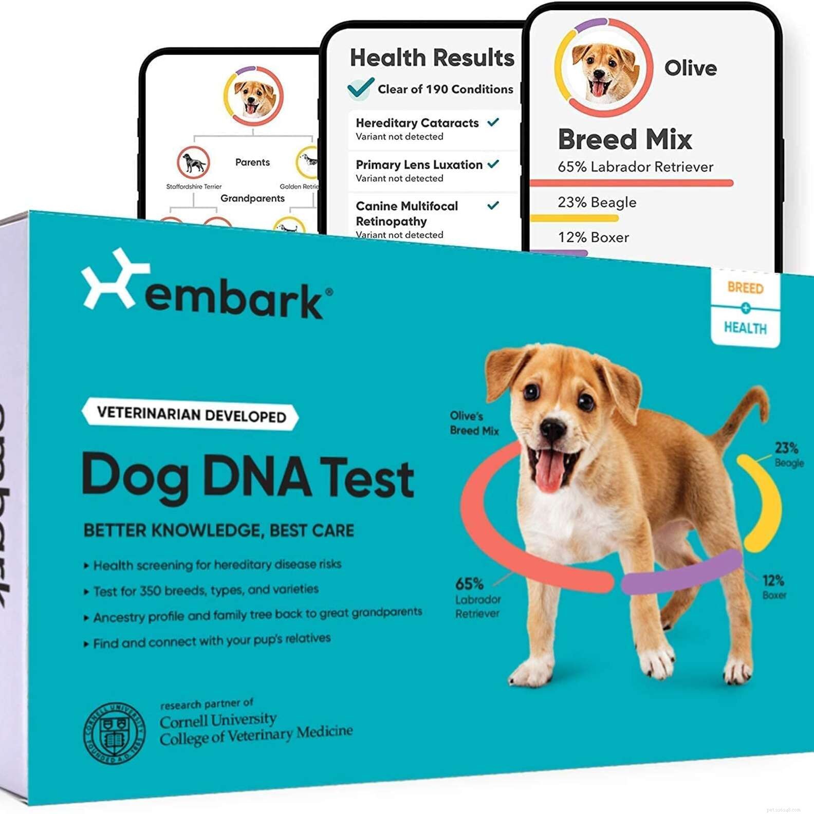 Top Prime Day Deals for Dogs – Unbeatable Discounts on Toys, Treats & Beds