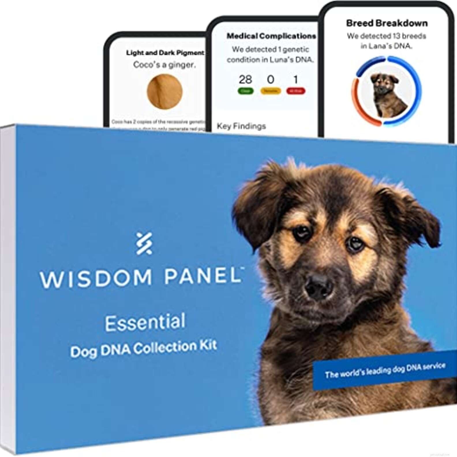 Top Prime Day Deals for Dogs – Unbeatable Discounts on Toys, Treats & Beds