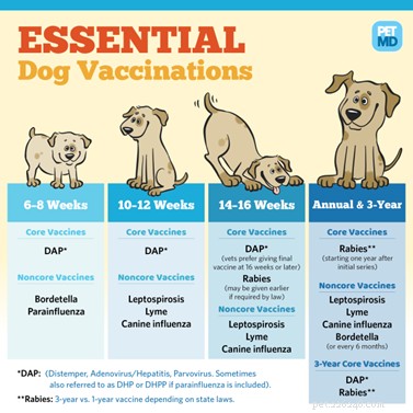 How Much Does a Dog Really Cost? A Comprehensive Guide to Budgeting for Pet Ownership