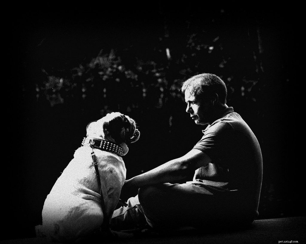 Understanding Dog Euthanasia: Compassionate End-of-Life Care