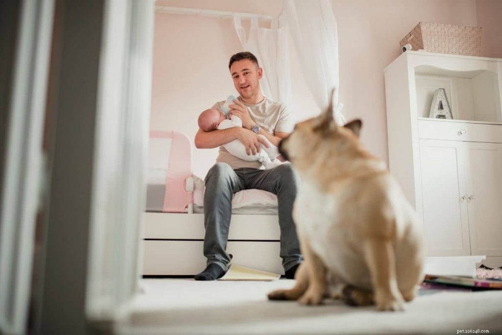 Preparing Your Dog for a New Baby: A Step‑by‑Step Guide