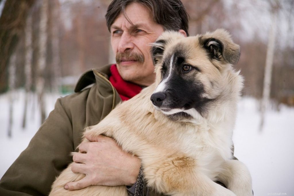 Building a Bond: How Dogs Enhance Child Development