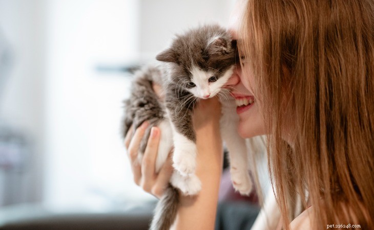 How to Recognize When Your Cat Is Truly Happy