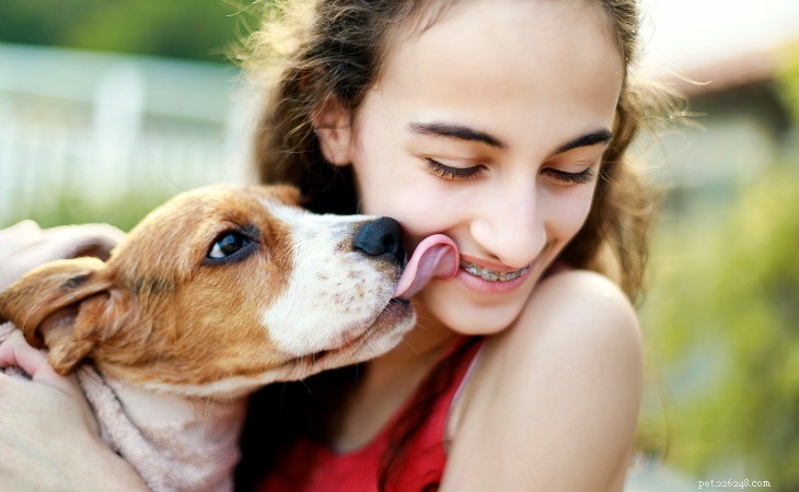Why Do Dogs Lick Their Owners? Understanding the Habit