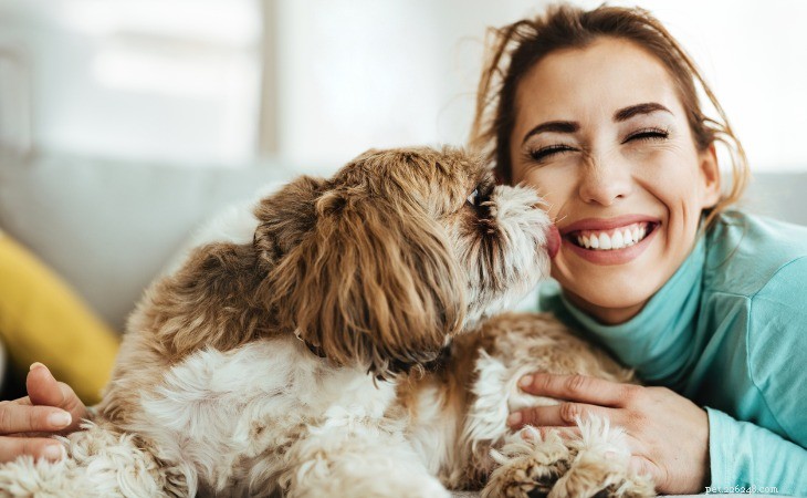 Why Do Dogs Lick Their Owners? Understanding the Habit