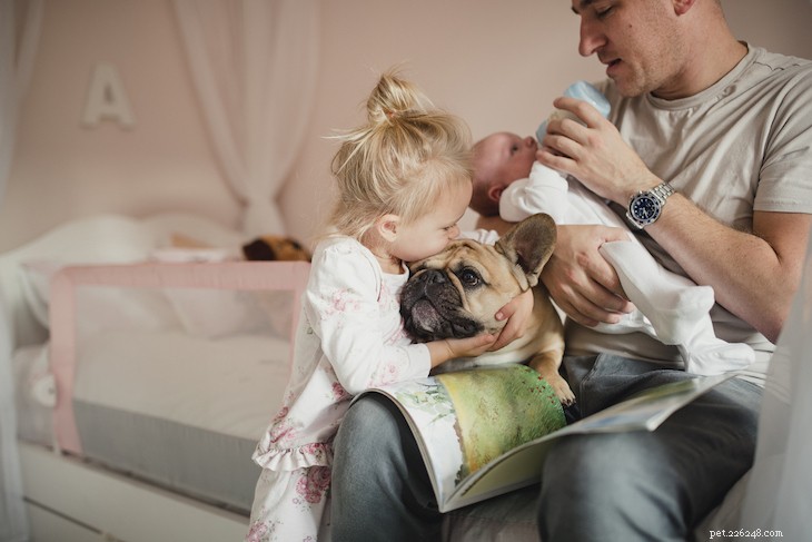 The 10 Best Family-Friendly Dog Breeds for Kids