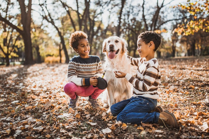 The 10 Best Family-Friendly Dog Breeds for Kids