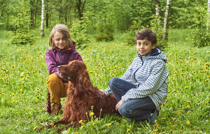 The 10 Best Family-Friendly Dog Breeds for Kids