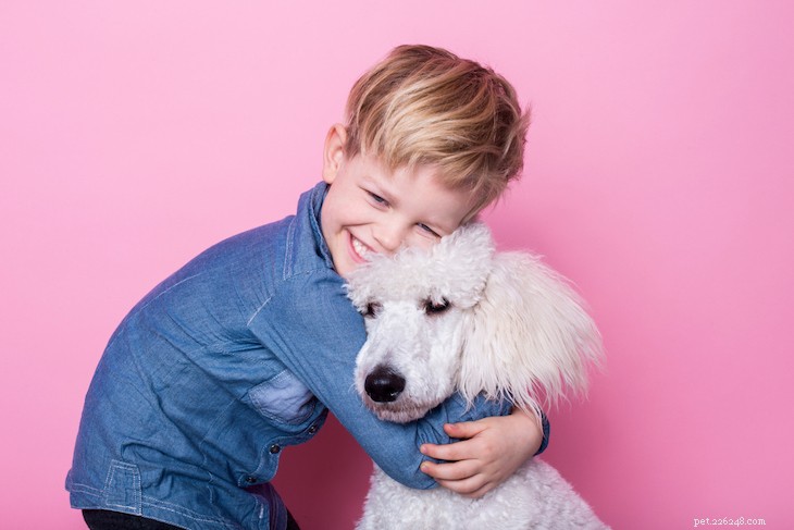 The 10 Best Family-Friendly Dog Breeds for Kids