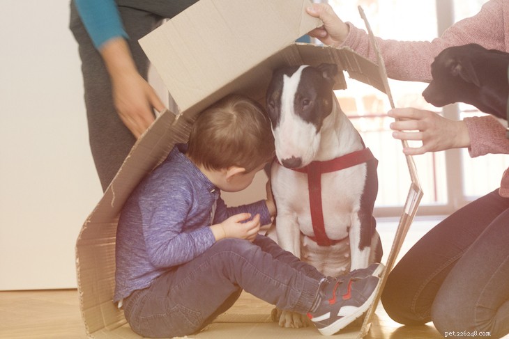 The 10 Best Family-Friendly Dog Breeds for Kids