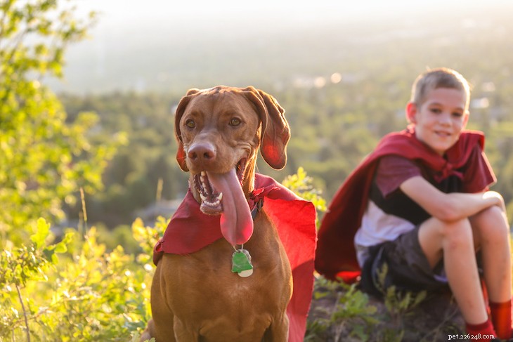 The 10 Best Family-Friendly Dog Breeds for Kids