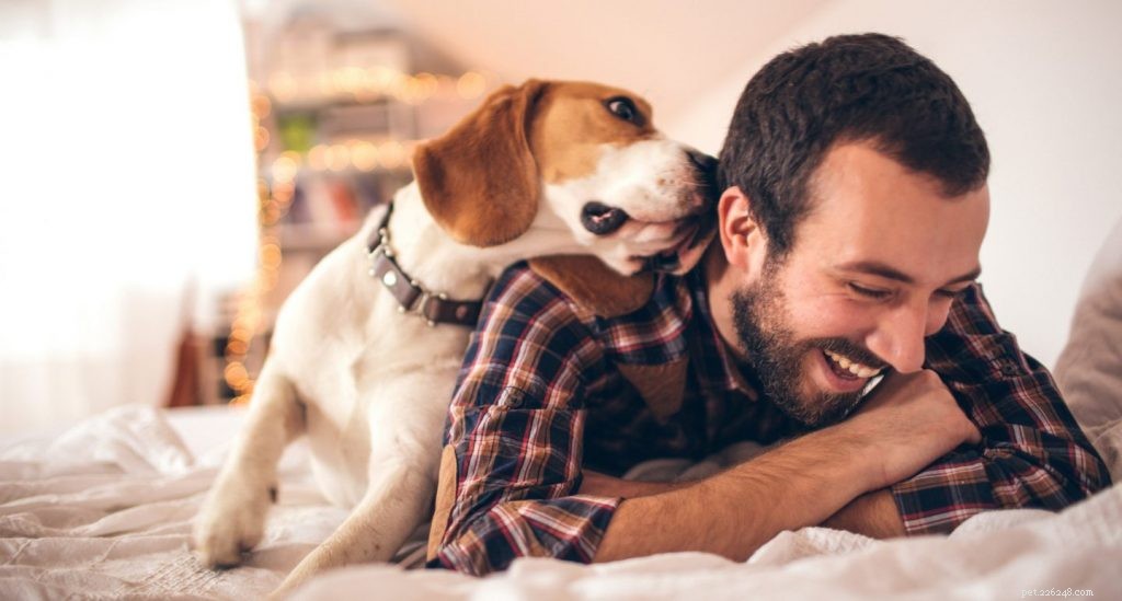 Understanding Excessive Dog Licking: Causes & Solutions