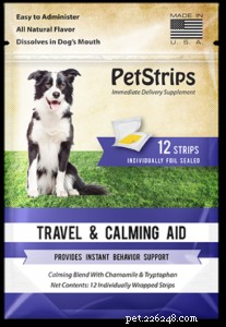 Understanding Excessive Dog Licking: Causes & Solutions