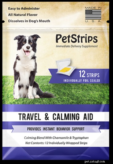 Re‑Socializing Your Dog After the Pandemic: A Guide